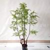 Nuevo helecho cola de caballo nórdico para decoración del suelo del hogar, simulación de planta verde en maceta, helecho persa, árbol de alambre de hierro