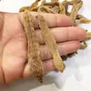 Gastrodia Elata de Changbaishan, Gastrodia Elata Totalmente Seca para Fazer Vinho, Gastrodia Elata Inteira Grande do Nordeste da China