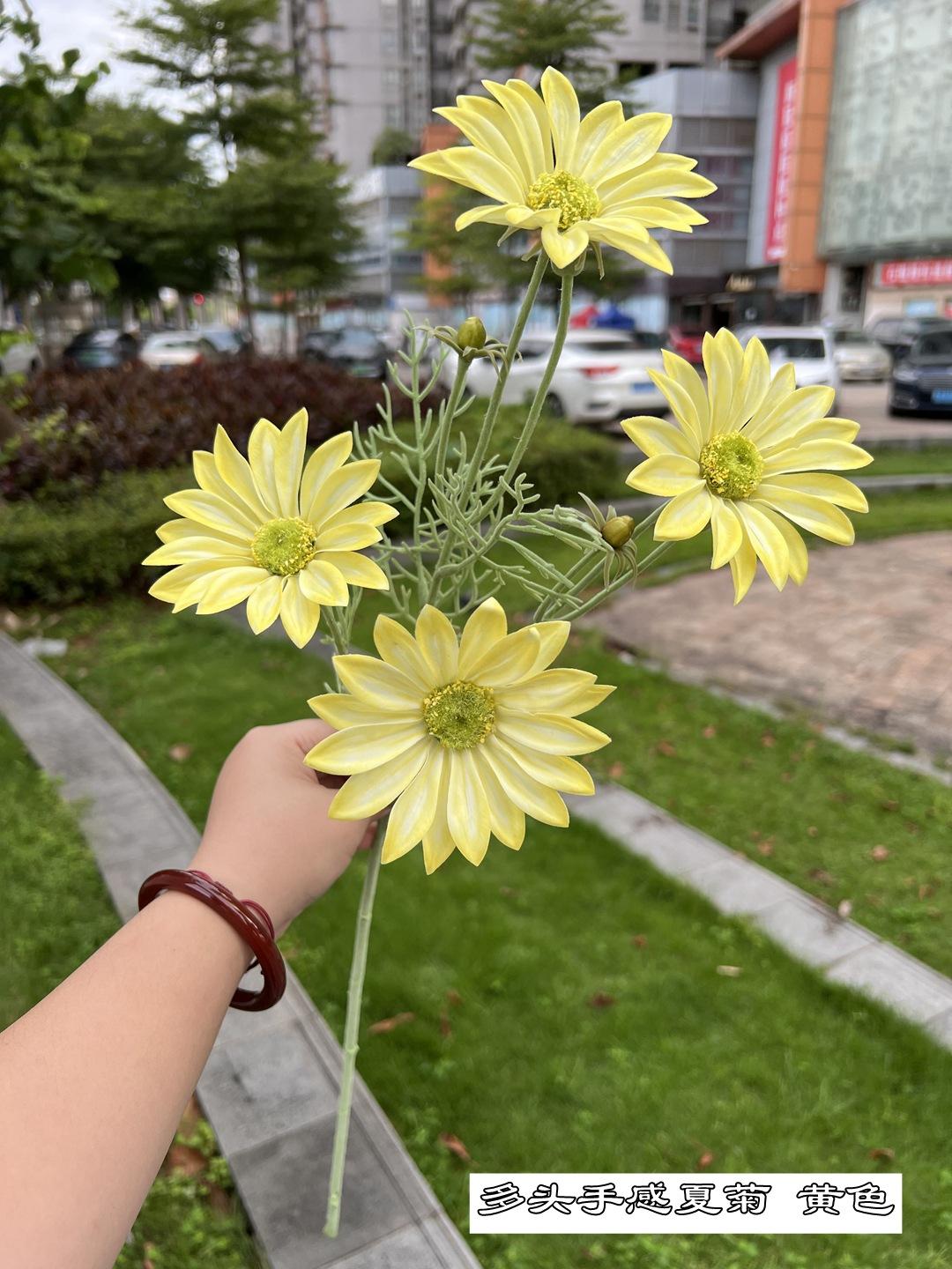 微信图片_20220813110538_副本