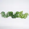 Pared Vegetal de Simulación Plantas Artificiales Verdes Pequeñas Hojas en Forma de Corazón de 9 Cabezas Flores Falsas de Plástico Decoración de Pared de Fondo para Entrada Balcón Césped