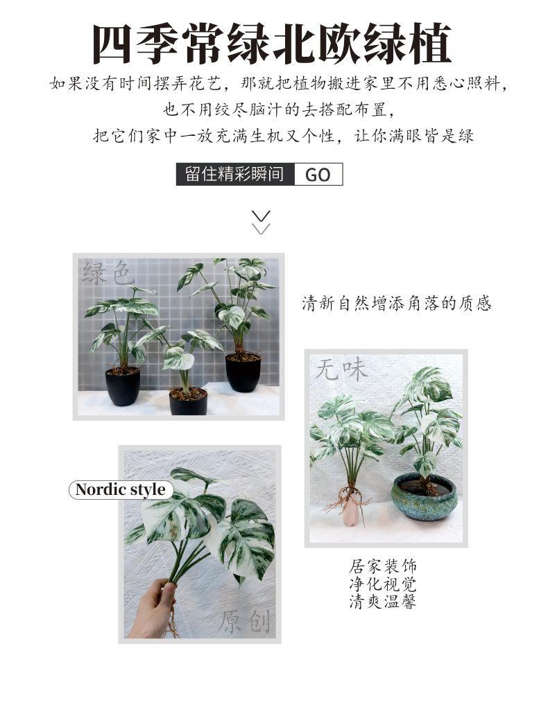 详情_02.jpg