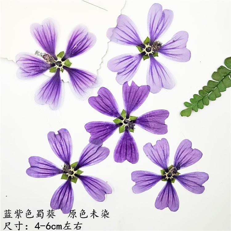IMG20190914150646.jpg