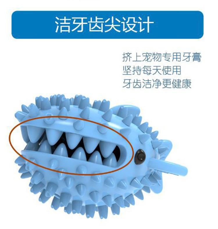 鲨鱼_08.jpg