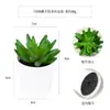 Más de 100 Tipos de Combinaciones de Plantas Suculentas Mini de Plástico Simuladas en Maceta, Mini Bonsáis Suculentos Más Vendidos Transfronterizos, Decoración para el Hogar, Adornos Creativos
