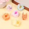 Estilo Color Gel Degradado Flor Rizada Pasador Estilo Vacaciones Avanzado Accesorios para el Cabello tamaño pequeño Parte Trasera de la Cabeza Cabello Medio Pinza de Tiburón