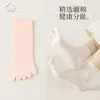Calcetines de espiga para mujer, calcetines de media pantorrilla, calcetines finos de verano de moda con cinco dedos, calcetines huecos transpirables para mujer que separan los dedos