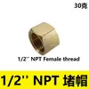 Conector Roscado de Latón NPT de 1/2 pulgada Adaptador de Tubería Macho, Conector Roscado Hexagonal Rosca Exterior NPT de 1"