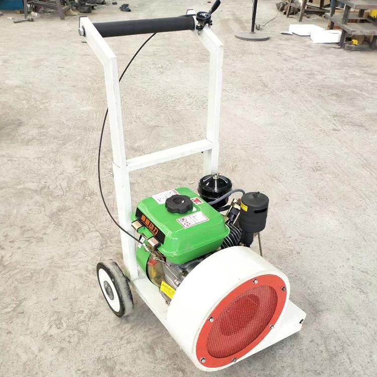 马路吹风机2021.06.04 (9)