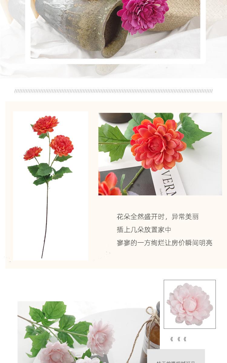 详情_16.jpg
