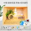 Caja de Cría de Codorniz Famosa en Internet, Caja Aislada, Jaula Pequeña para Pollos, Kit Completo para Cría de Polluelos y Paisajismo, Caja de Cría de Codorniz de Madera