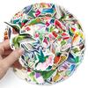 50 pegatinas de grafiti de colibrí personalizadas con dibujos de acuarela de aves transfronterizas, decoración para fundas de teléfono móvil, equipaje y vasos de agua.