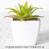 Simulação mini suculentas atacado pequenos enfeites de plantas em vasos de flores de simulação com vasos flores falsas escritório desktop plantas verdes