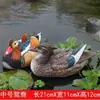 Piscina de Jardín Flotante Adornos de Patos y Patos Mandarines Cisne Negro Accesorios de Boda Paisaje Decoraciones de Jardín al Aire Libre