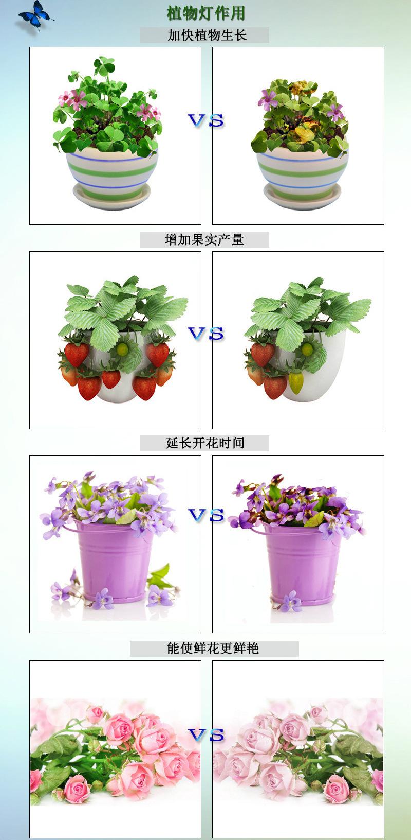 植物灯作用1