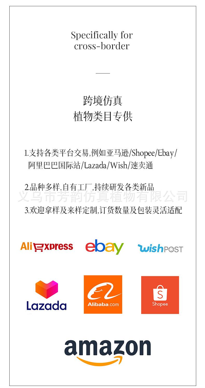 组合详情_02.jpg