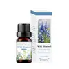 Comercio exterior transfronterizo aceite esencial de aromaterapia soluble en agua humidificador piedra expansora aceite esencial interior armario ambientador incienso fresco