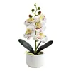 Flores artificiales con 5 flores y 2 frutas, tacto realista, bonsái pequeño de Phalaenopsis, plantas artificiales en maceta, decoración de interior, maceta verde
