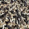 Pájaro Monje Sol loro Comida para Pájaros Alimento Especial Monje para Pájaros Comida Mixta Cinco en Uno Semilla para Pinzón