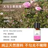 Vela de Aromaterapia para Plantas Transfronteriza Aceite Esencial Aceite Único Soluble en Aceite Jabón Artesanal DIY Jabón en Frío Bálsamo Vela Aceite Esencial de Aromaterapia