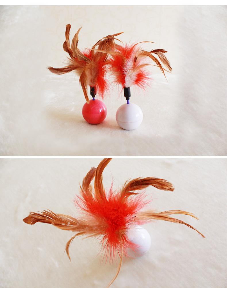 2731823155_1649857601