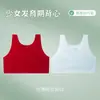 Ropa interior de material ligero para niñas en período de desarrollo, edades 8-14, Niños de primaria, Camisola de primera etapa para niñas