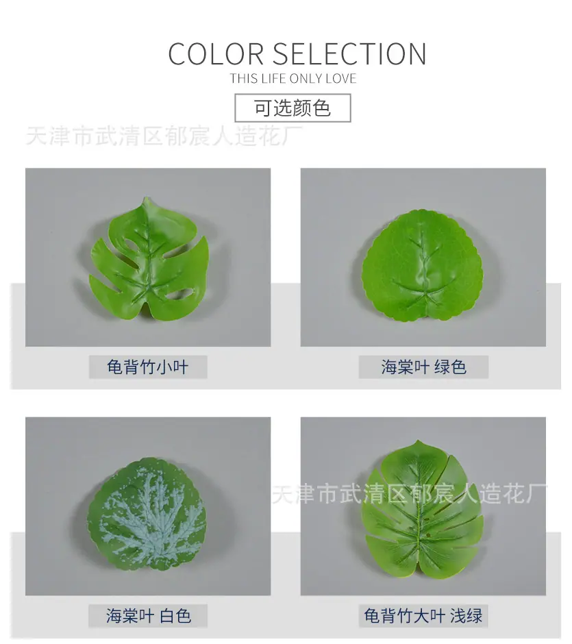 详情_02.jpg