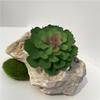 Planta Suculenta Simulada en Maceta Hogar Sala de Estar Planta Verde Micro Paisaje Suculenta Artificial DIY Bonsái Accesorios de Flores Flor