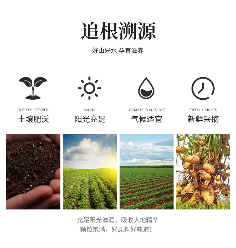 未标题-1_05