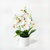 Novo vaso listrado vertical com 9 plantas de orquídea, perfeito para fotografia de casamento, ensaios fotográficos e como centro de mesa decorativo ou arranjo de flores artificiais para exibição em mesa.
