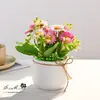 Camomila Transfronteiriça Pastoral Pequeno Bonsai Flor de Simulação Criativa Decorações Decorativas para Casa Estúdio Planta Verde Artificial Planta em Vaso de Simulação