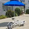 Triciclo Freezer a Energia Solar, Carrinho de Suco e Bebidas, Carrinho de Venda de Café e Chá de Leite, Carrinho de Varejo Comercial para Sorvete