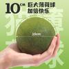 Pelota de Hierba Gatera Extra Grande Big Mac de 10 cm, Palo para Molestar Gatos, Resistente a Mordidas, Artefacto para Auto-Placer y Alivio del Aburrimiento, Juguete de Pelota para Gatos en Dentición