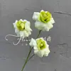 Plantas Verdes Artificiais para Casamento, Grama Aspargo Verde Estilo Floresta, Flores Artificiais Verdes, Materiais Florais Artificiais para Casamento, Série de Decoração para Salão de Casamento