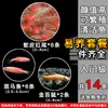Guppies de Raça Pura, Peixes Ornamentais de Água Doce Pequenos, Peixes Tropicais Fáceis de Criar, Peixes Vivos, Peixes Limpadores, Kinguios Zebra, Peixes Pequenos, Alevinos