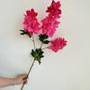 Flor Artificial Nova Bougainvillea Jacinto de 3 Pétalas Casamento Salão de Casamento Teto Destaque Guia de Estrada Flor de Seda Decorativa em Estoque