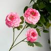 Nueva flor artificial Koi Peony Dragon Carpa Flor artificial falsa Decoración de boda Flor de seda Flor artificial Koi Peony
