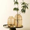Jarrón de vidrio simple moderno hidropónico sauce de nieve madera borracha arreglo floral hidropónico flor aterrizaje alto sentido adornos decorativos