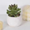 Simulación de planta suculenta, cactus, flores artificiales falsas, planta verde, pared, decoración interior del hogar, pequeños adornos combinados