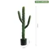 Cactus Falso Simulado Planta Verde en Maceta Florero Decorativo Adornos Pared de Fotos Fondo Simple Planta del Desierto Bonsái
