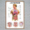 Estructura Promocional Diagrama Sistema Diagrama Esquemático Anatomía Médica Órganos Humanos Cartel de Pared Corazón Órganos Internos Hospital Cuerpo Humano