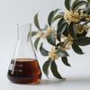 Aceite Esencial de Osmanthus de Zonas de Producción China, Aceite Esencial para Aromaterapia, Aceite Esencial para Masajes, Venta al por Mayor de Materias Primas, Uso para Muestreo Industrial