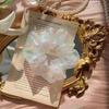 Estilo Coreano Anillo para el Pelo de Cerdo Frutal Cuerda para el Pelo ins Cuerda para el Pelo Organza Goma Elástica Linda Estilo Japonés Cuerda para el Pelo de Mujer Accesorios para el Cabello