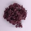 Hortensia Flor Seca Flor Eterna Material Flor Rosa Regalo de Navidad Ramo Hecho a Mano Hortensia de Madera 20g En Caja