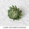 Plantación de Bonsái de Suculentas Simuladas Cuidadosamente Seleccionadas Mini Accesorios de Suculentas Falsas Terciopelo Plantas Verdes Decoración del Hogar DIY Adornos