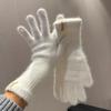 Guantes Largos de Dopamina para Mujer Otoño e Invierno Gruesos Cálidos Resistentes al Frío Color Sólido Lana Mezclada Tejidos Ciclismo Conjunto de Cinco Dedos
