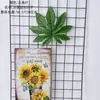 Planta verde estilo INS hoja de tortuga bonsái hoja de helecho arreglo floral flor artificial fabricantes decoración del hogar planta de boda pared de flores flores artificiales