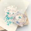 Venta al por mayor de joyas para uñas, lentejuelas de mariposa láser de colores degradados, lentejuelas refractivas ultrafinas, lentejuelas ultrafinas