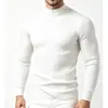 Comercio Exterior al por Mayor Otoño e Invierno Hombres Europeo y Americano Suéter de Punto Trenzado Cuello Alto Talla Grande Moda Casual Jersey Prendas de Punto