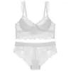 Conjunto de Sujetador Push-Up con Tirantes de Aro para Pechos Pequeños, Efecto Realzador y Redondeador, Conjunto de Sujetador Sexy, Conjunto de Sujetador Anticaída, Comercio Exterior Transfronterizo