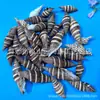 Artesanías de Caracolas Naturales Vendidas por Libra para Acuarios, Fotografía, Educación de Estudiantes y Niños, Minería y Uso Marino